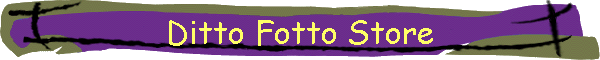 ditto Fotto Store