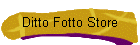 ditto Fotto Store